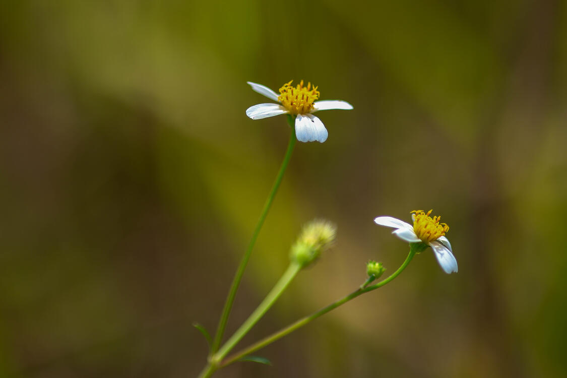 aperture aperture